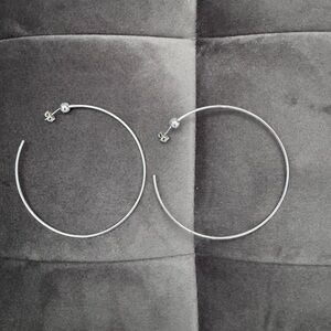 Jenny bird Large size hoops.